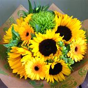 Stunning Sunflowers - SUNFLOWERS MAY NOT BE AVAILABLE AT PRESENT