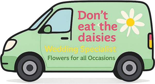 Don't Eat The Daisies Flower Delivery