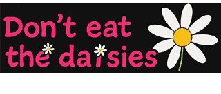 Don't Eat The Daisies Florist